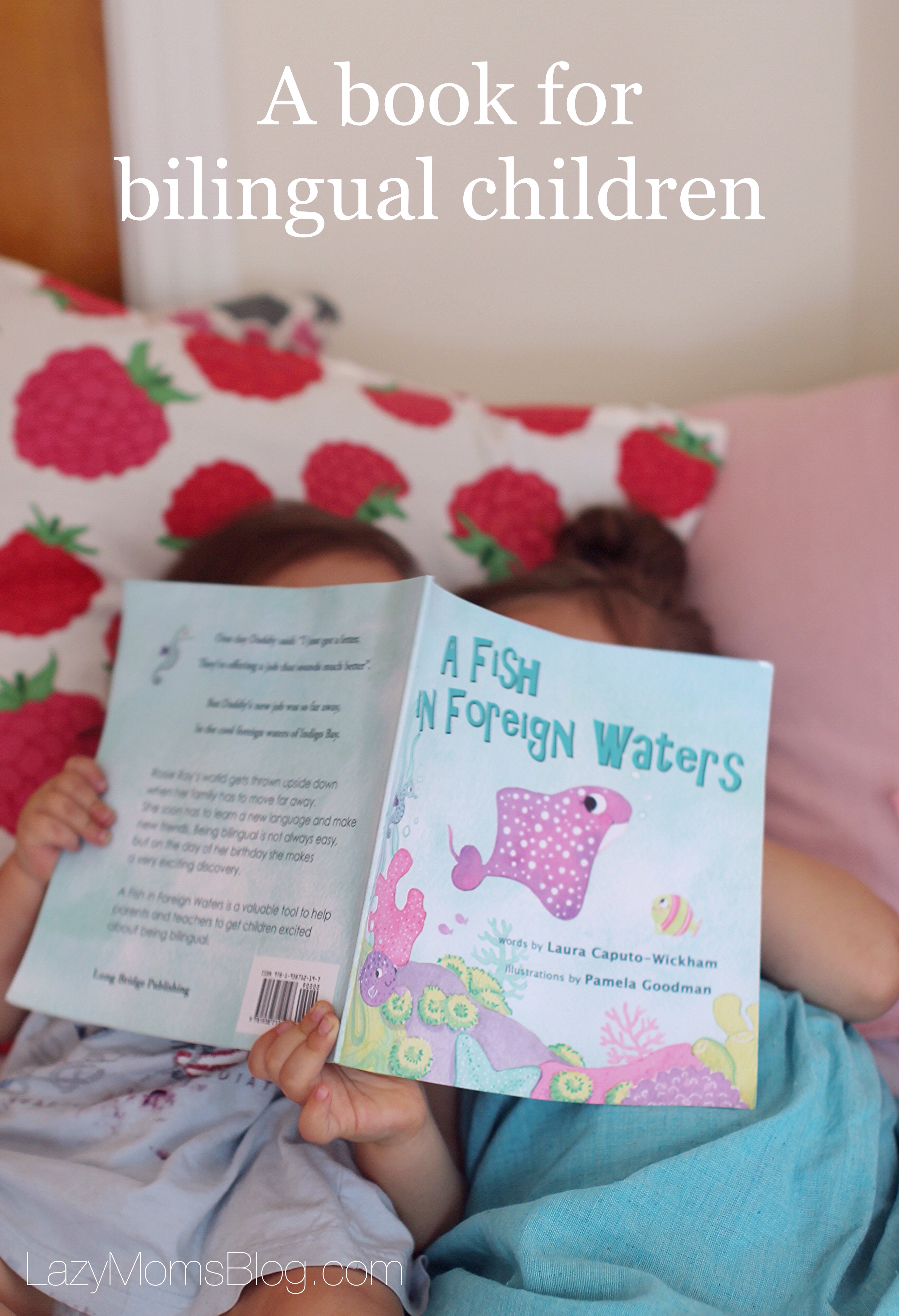 “A fish in foreign waters ” book review