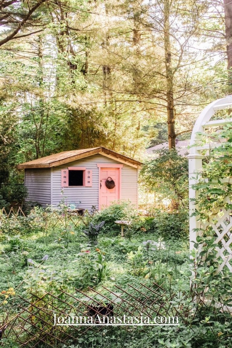 Why you should turn your backyard into a permaculture edible garden